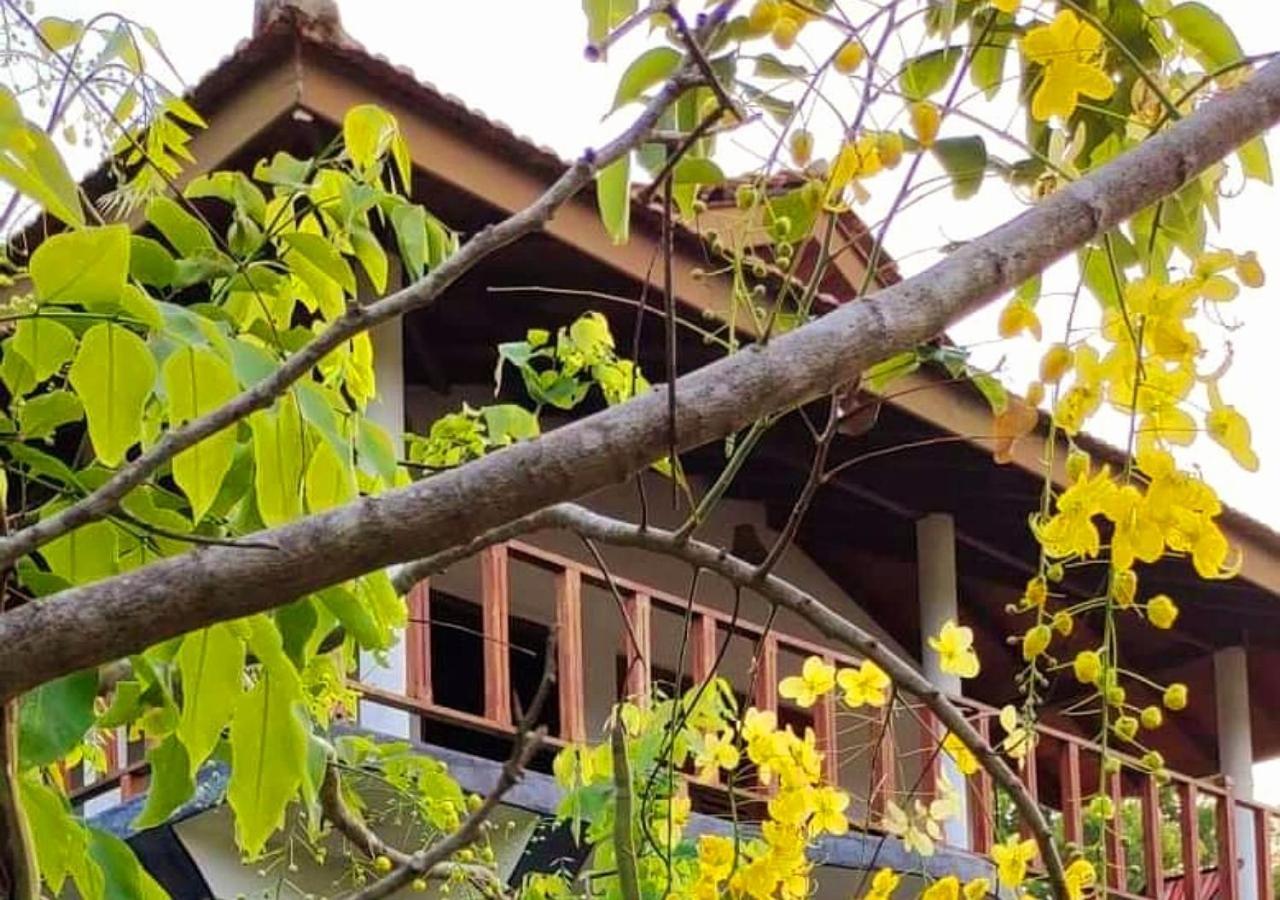 Pearl Cave Cabanas & Resturant แทนกาลเล ภายนอก รูปภาพ